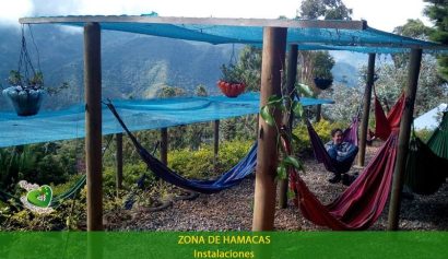 zona de hamacas